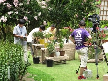 趣味の園芸ロケ