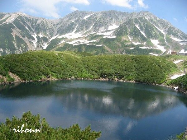 ハイビスカスとみくりが池、みどりが池