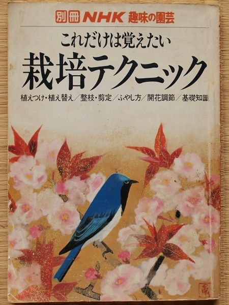 趣味の園芸できない[i:252]