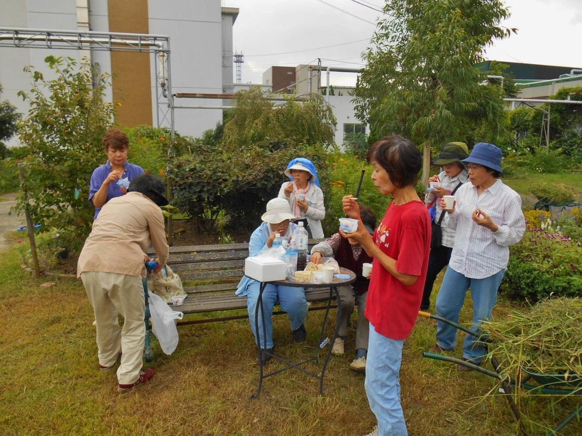 園芸ボランティア・・今日も？