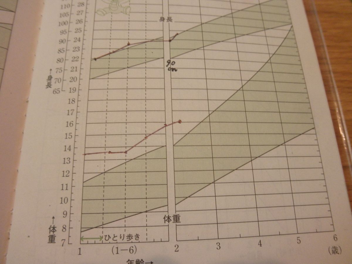 ちっこい怪獣のお話＆今夜のお仕事