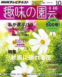 【テキスト発売情報】『趣味の園芸』『やさいの時間』『ビギナーズ』10月号は明日発売！