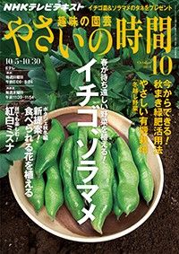 【テキスト発売情報】『趣味の園芸』『やさいの時間』『ビギナーズ』10月号は明日発売！