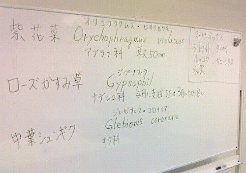 9月19日（金）トミーの園芸教室　第11回