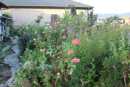 ９月の荒れ地ガーデン