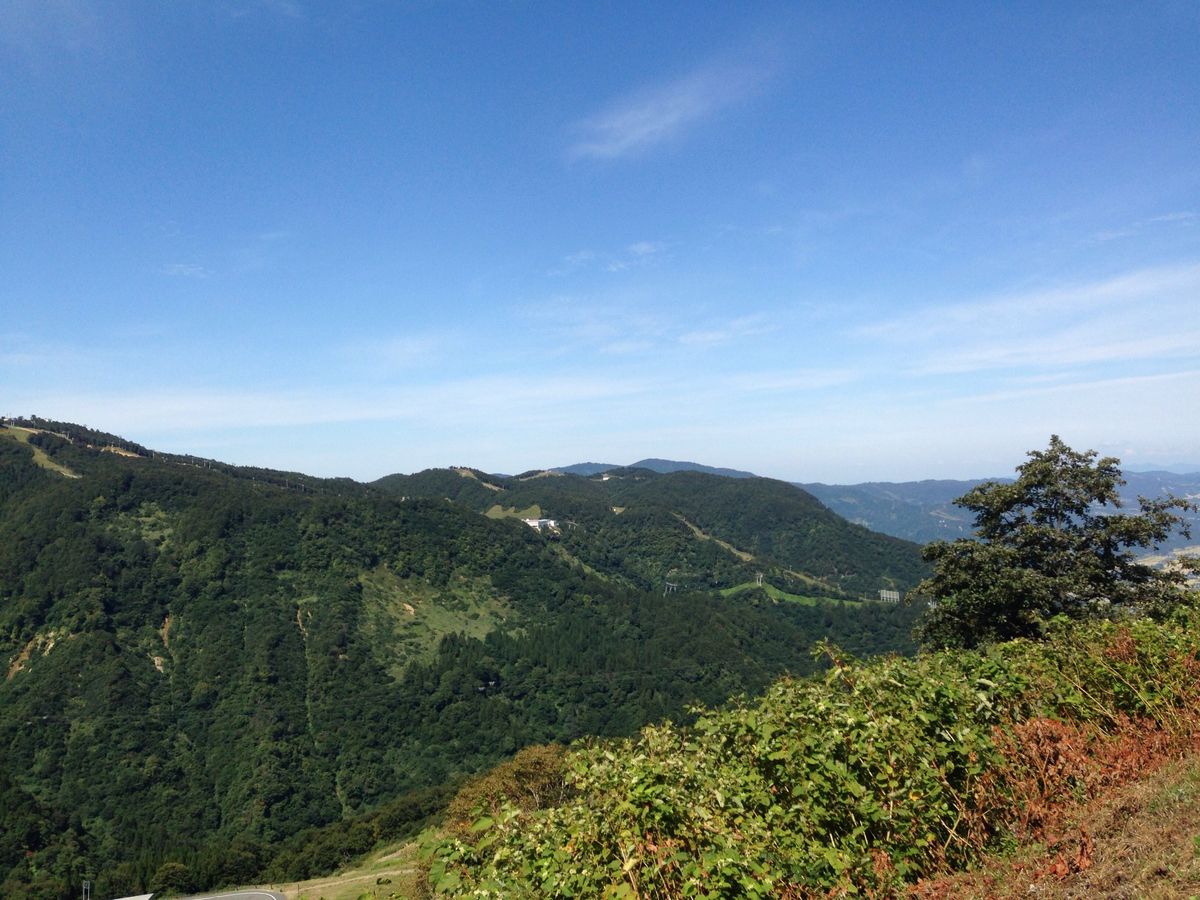 湯沢高原なう。。。す