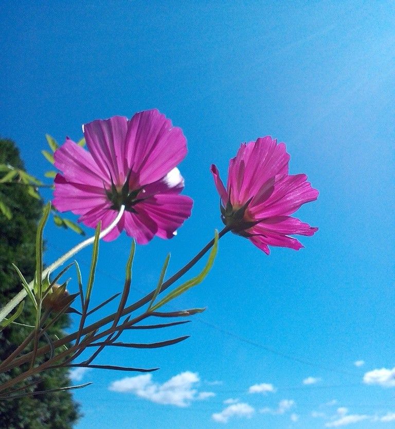 お天気サイコー＼(*^▽^*)/