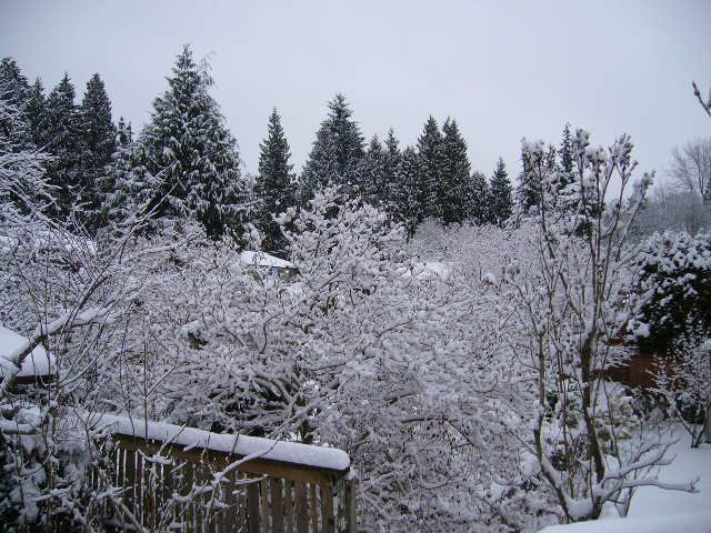 大雪だぁ！