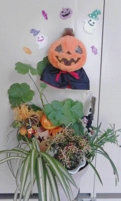 ☆ハロウィン☆