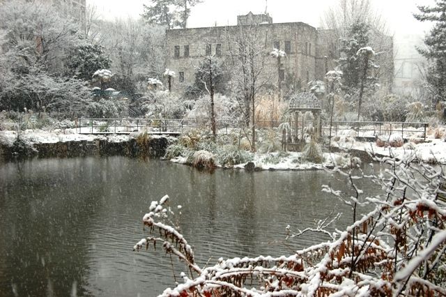 雪の庭園