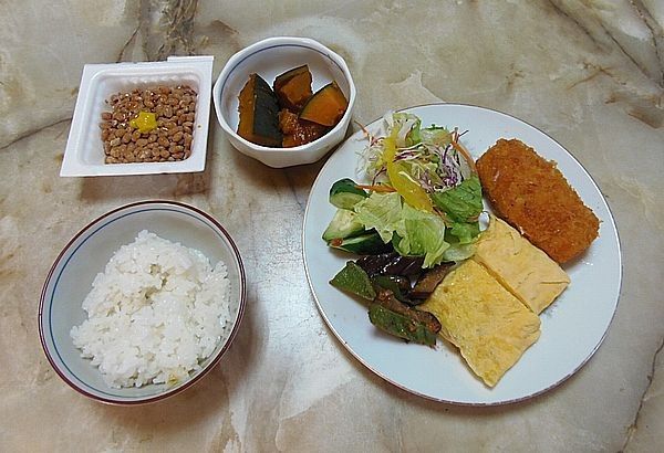 食事療法MS②250日目