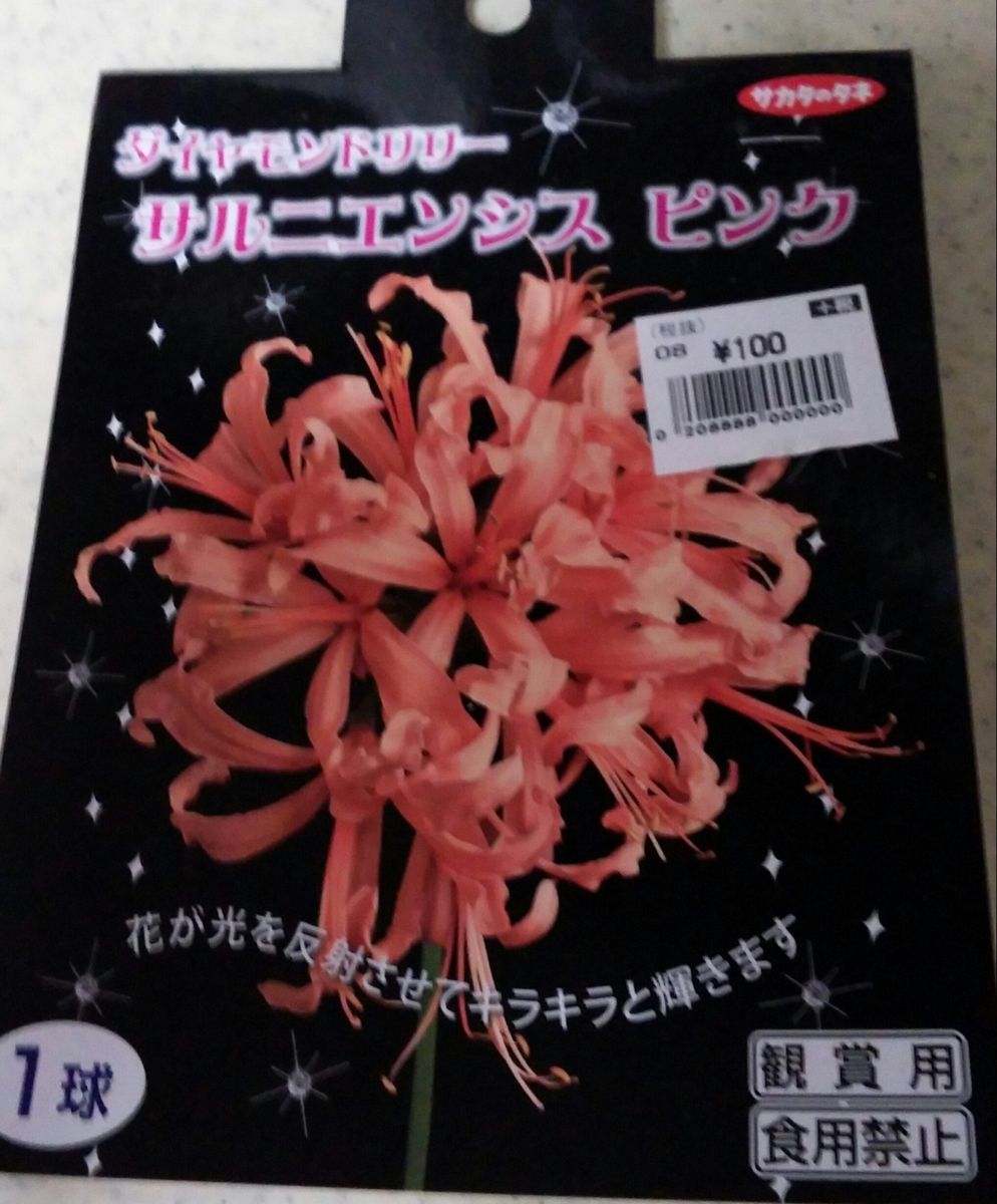 レクチャーコンサートと閉店間際のお買い物～108円☆