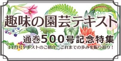 通巻500号！『趣味の園芸』11月号発売＆記念特集ページを公開