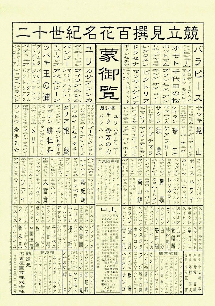 【園芸LOVE 原田が行く】一世を風靡した名花 シンビジウム・メロディーフェア ‘マリリンモンロー’