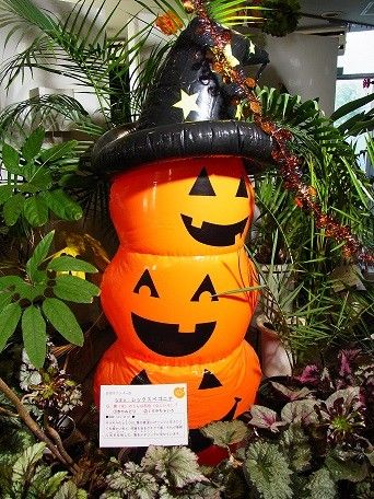 ハロウィンクイズラリー　本日開催中