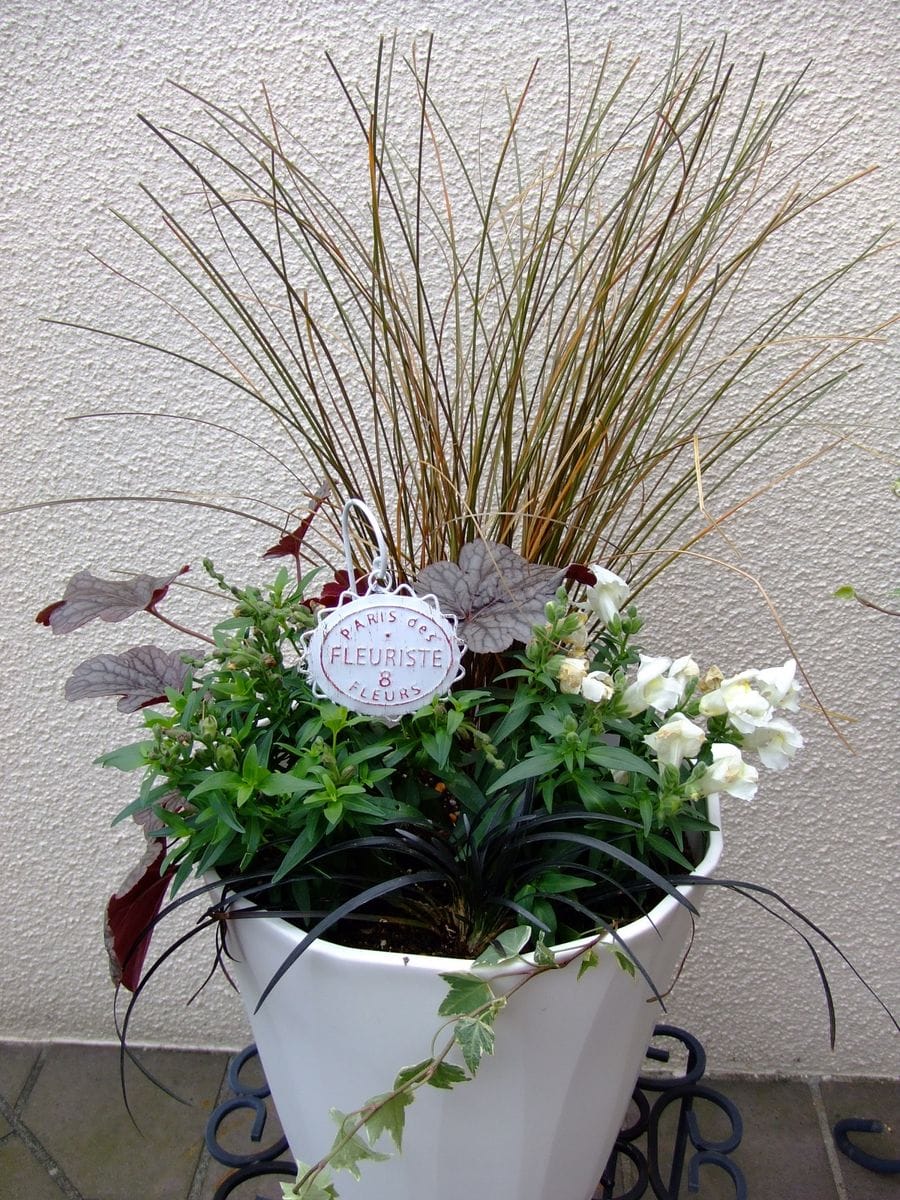 秋の寄せ植えと園芸作業