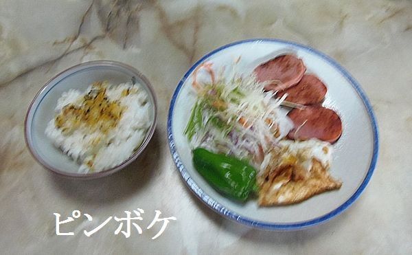 赤い鉄塔煙を吐くの巻。食事療法MS②265日目