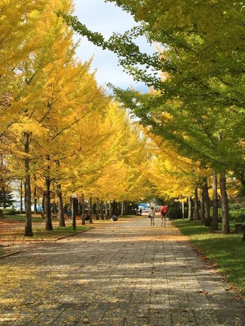 秋の公園