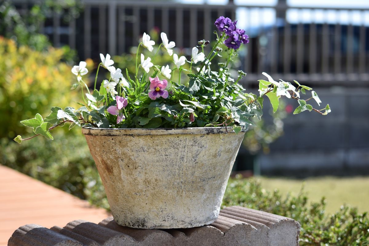 寄せ植えアプリ風