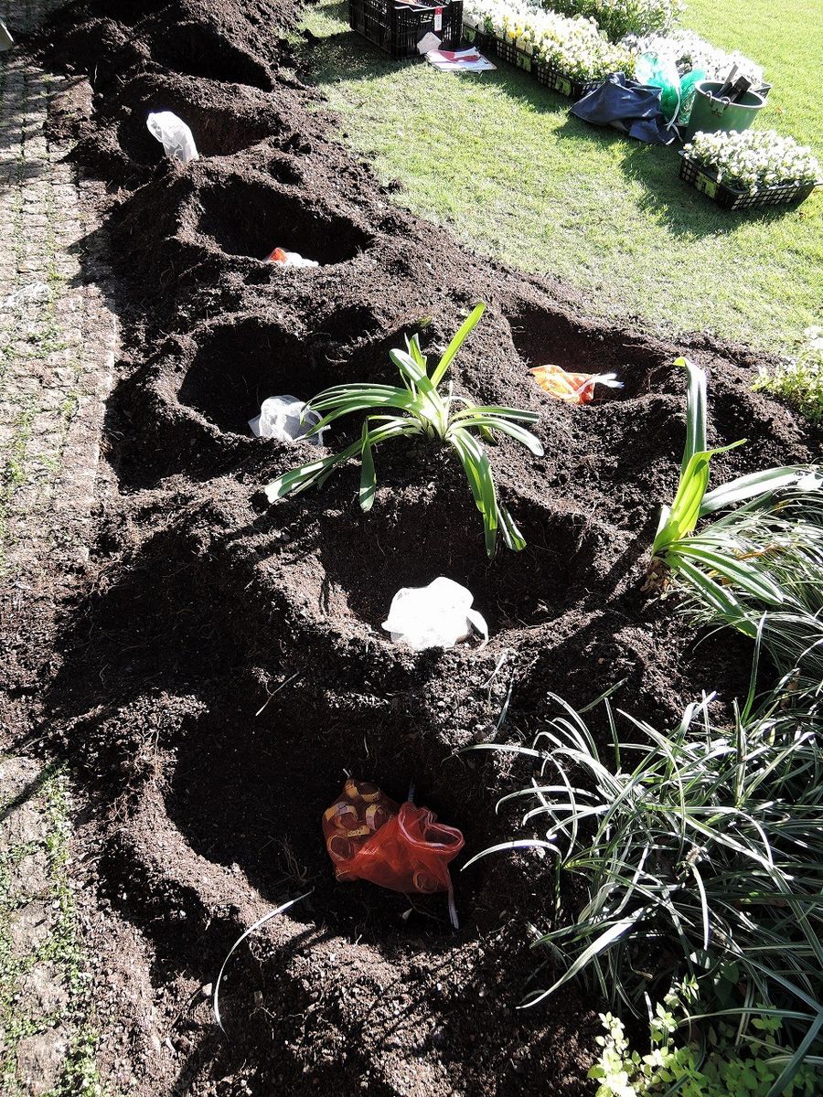 続・植替え！