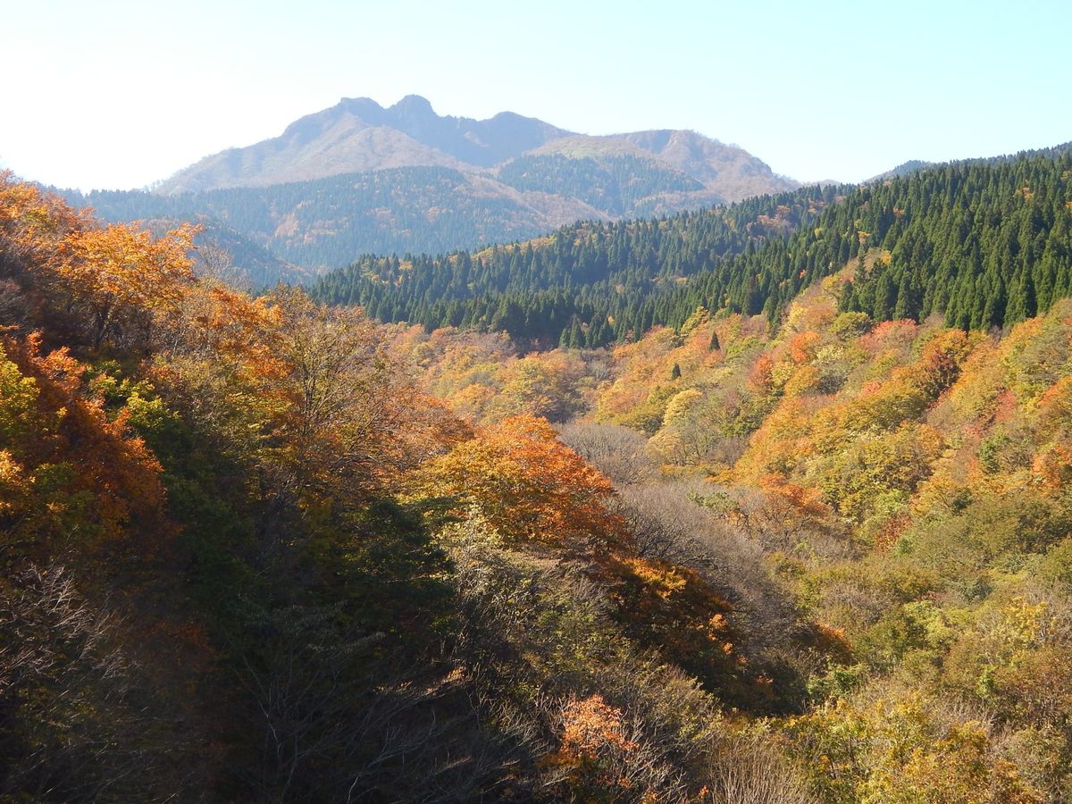 　大山です。