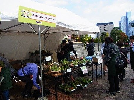 お祭り：くみんの広場でテント出展中