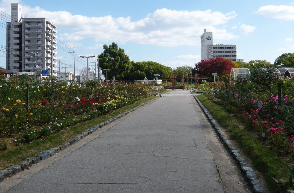 福山バラ公園