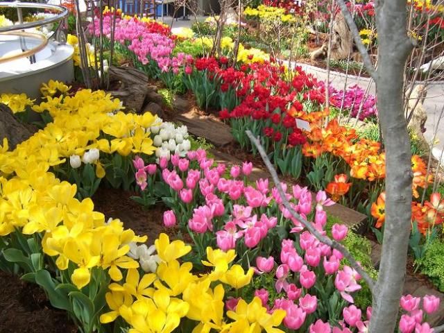 新潟県立植物園①