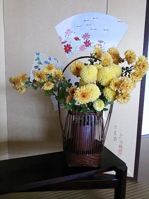 今日の花