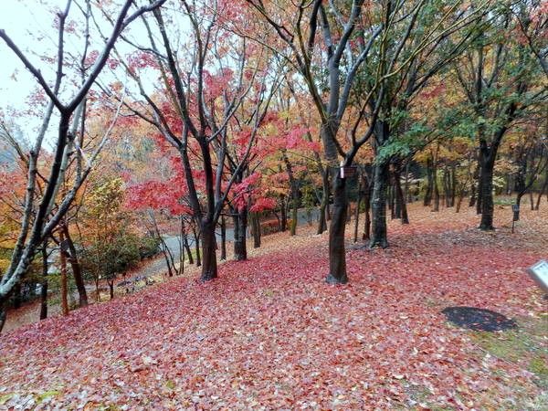 オフ会、お土産も。