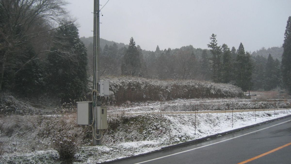 今年初めての雪景色