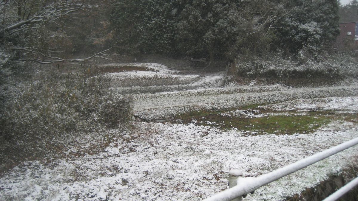 今年初めての雪景色