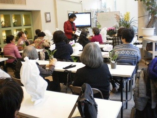 京阪園芸でトミーの「洋ラン講座」