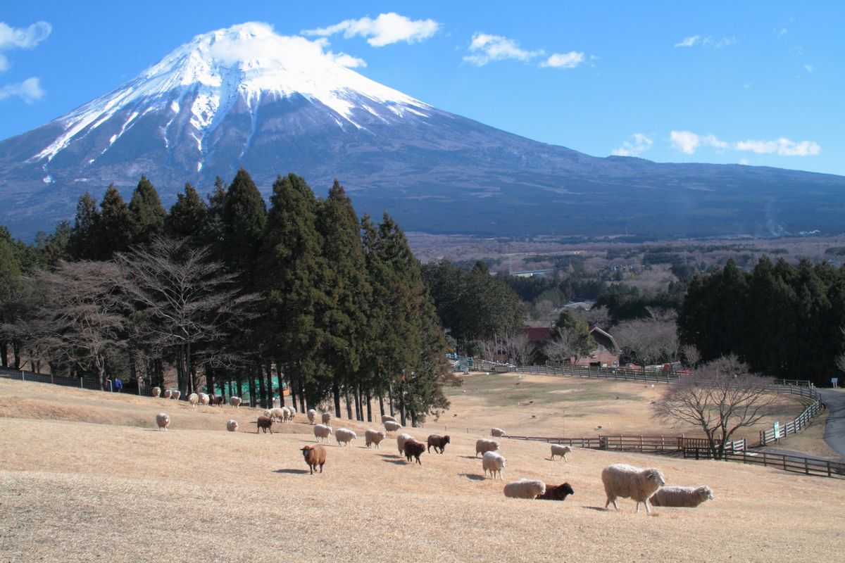 富士山