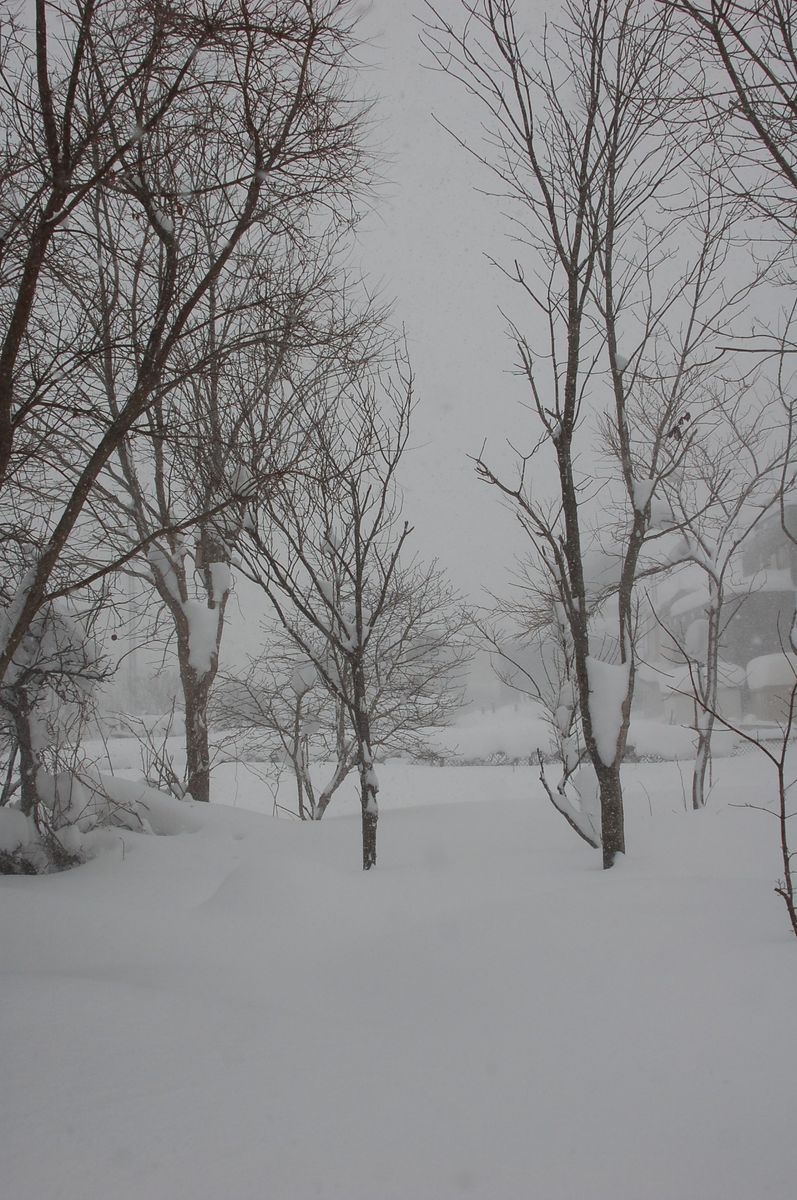 新雪深雪