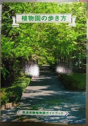 植物園の歩き方