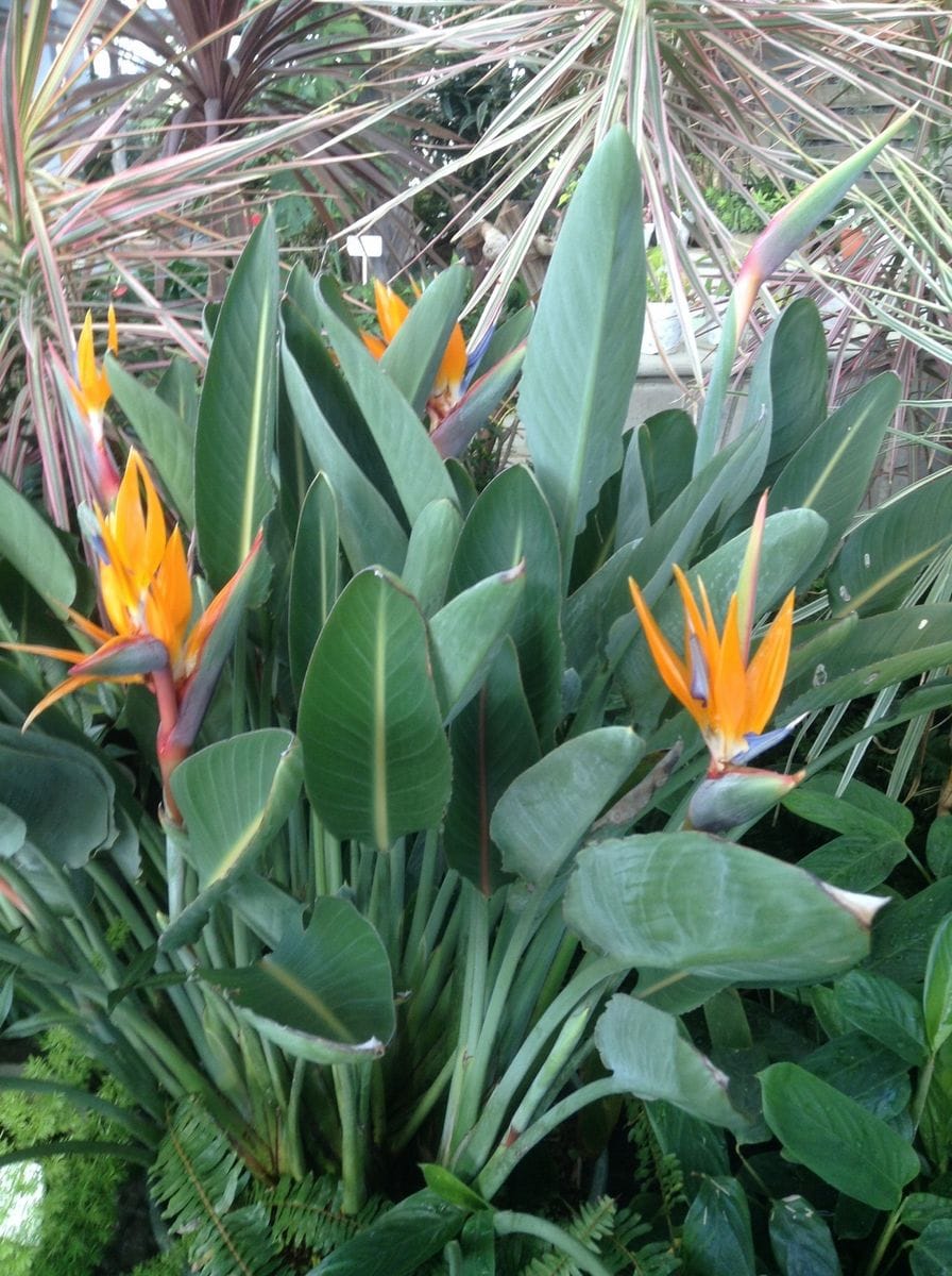 花の丘公園、他にもいろいろ…