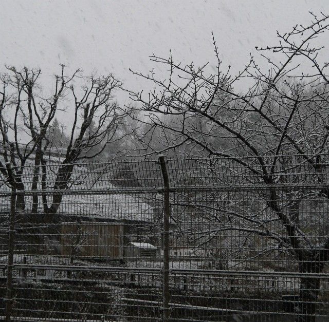 大和「ヘッコロ谷」密売所も初雪＾＾：