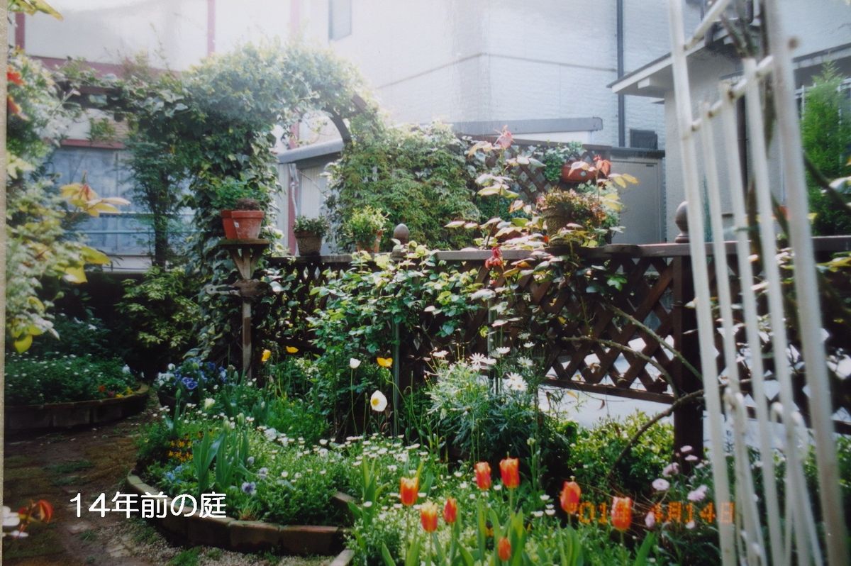 昔の庭の写真