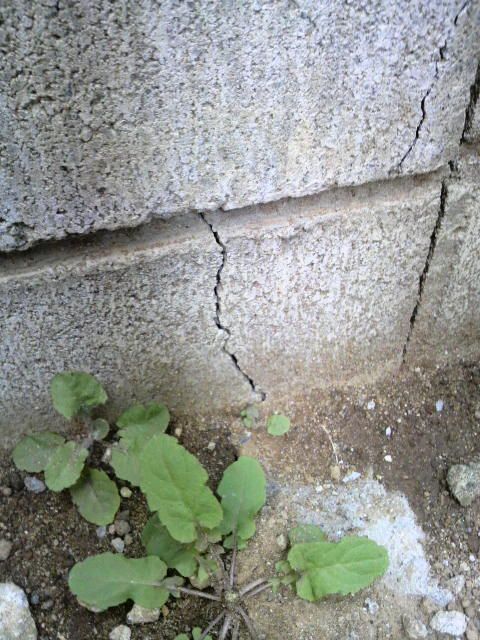 地震の傷跡