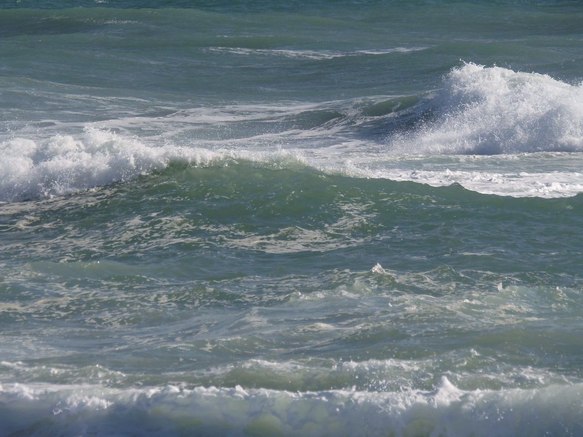 真昼の冬の海