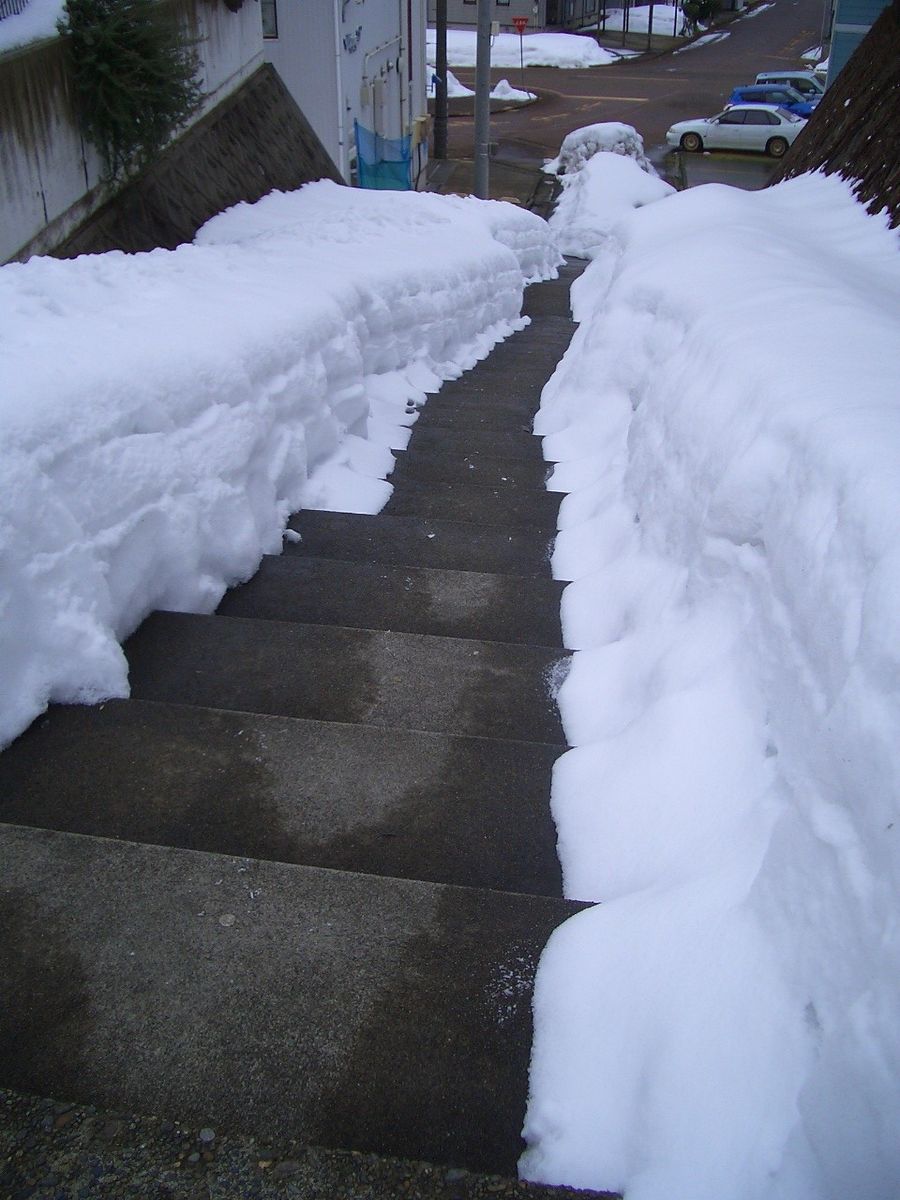 ネタがないので庭の雪です