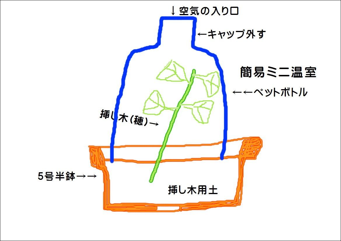 ペットボトルで・・・・