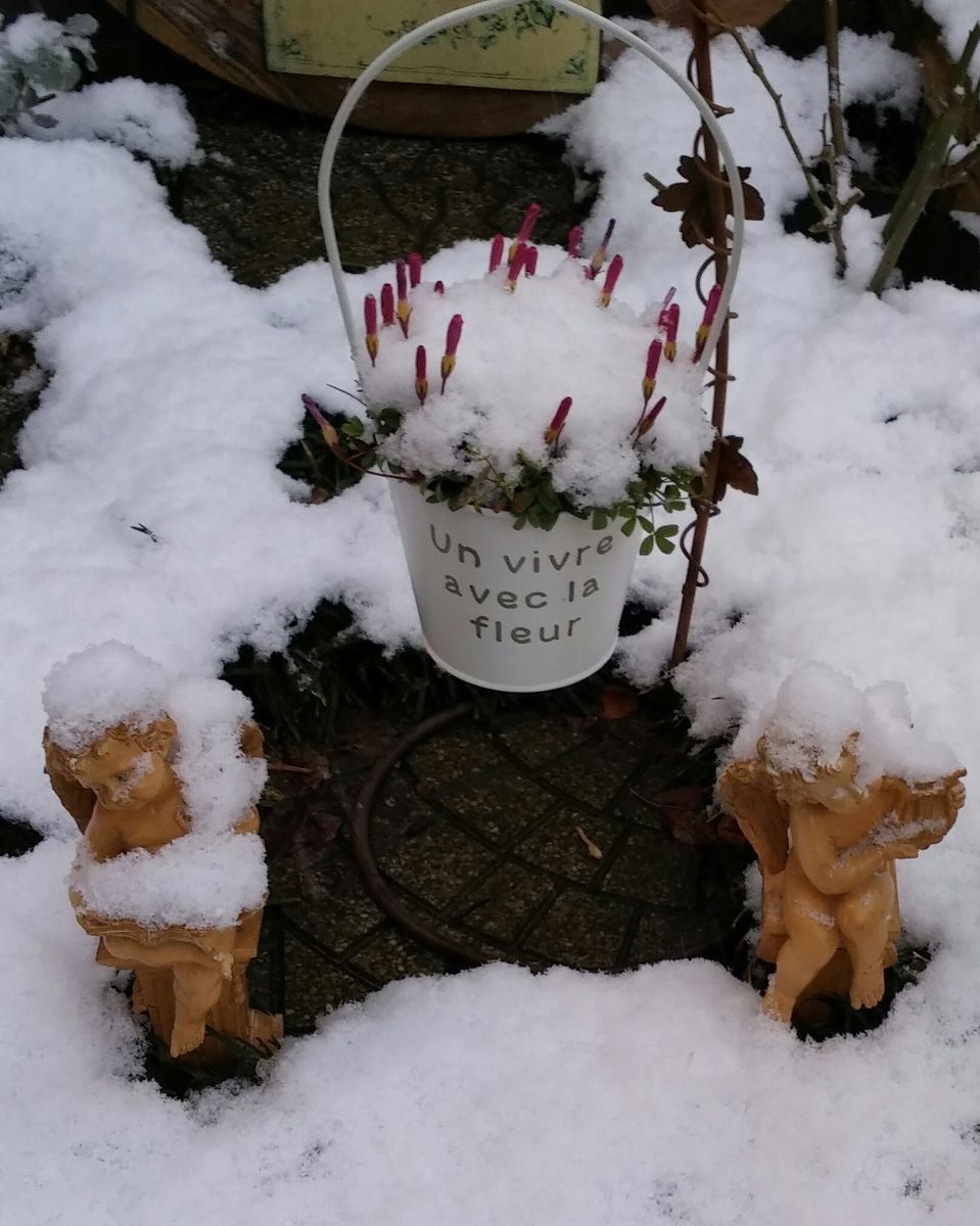 雪が積もりはじめて