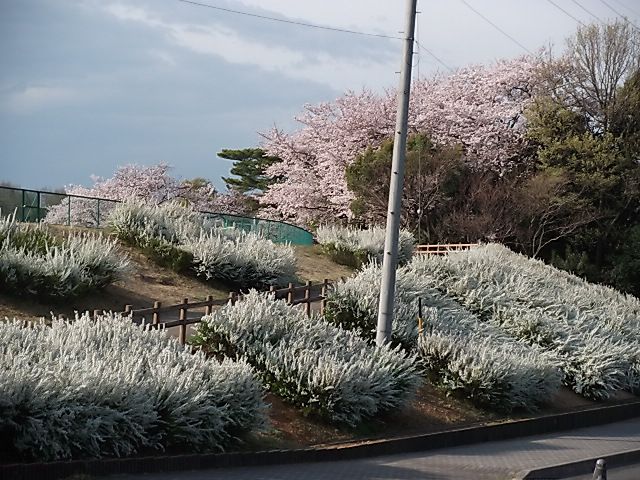 今日はお散歩２