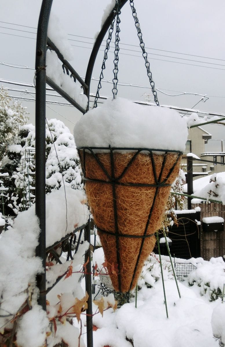 雪遊び