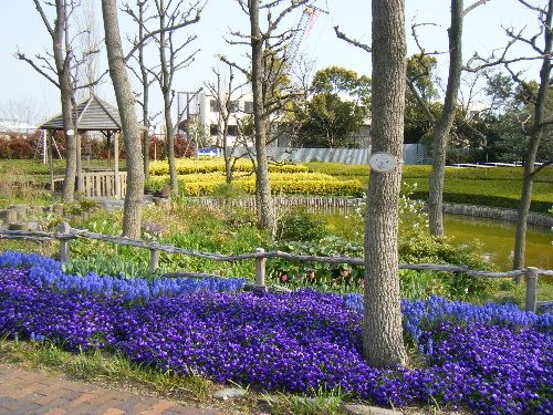 リゾ鳴尾浜で園芸相談をしてきましたあああ～。