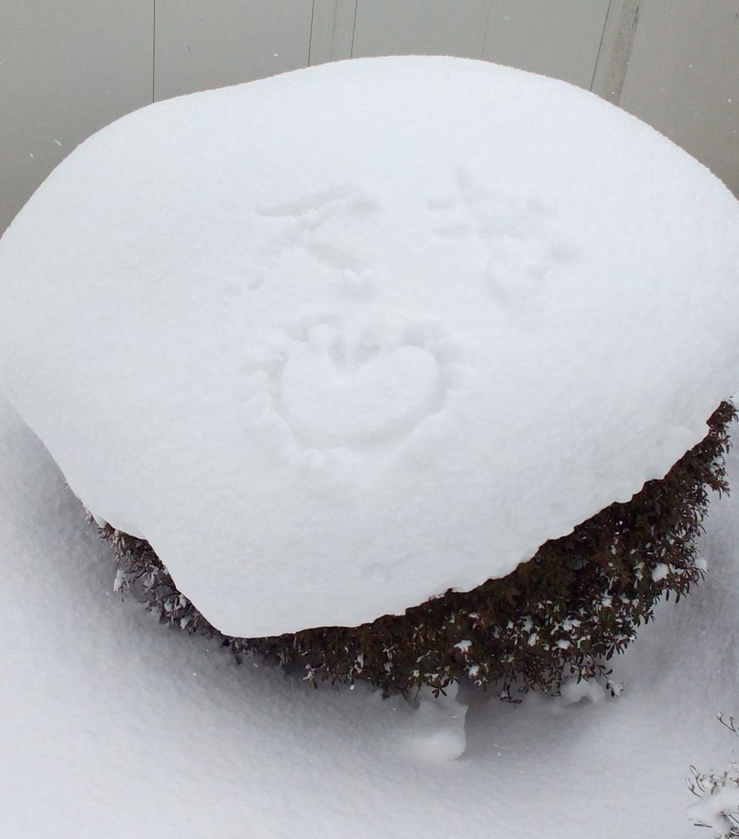 雪に書いたラブレター･･･(//△//)