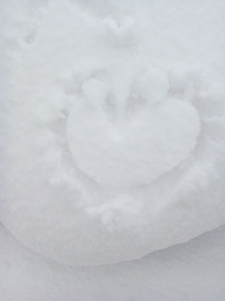 雪に書いたラブレター･･･(//△//)