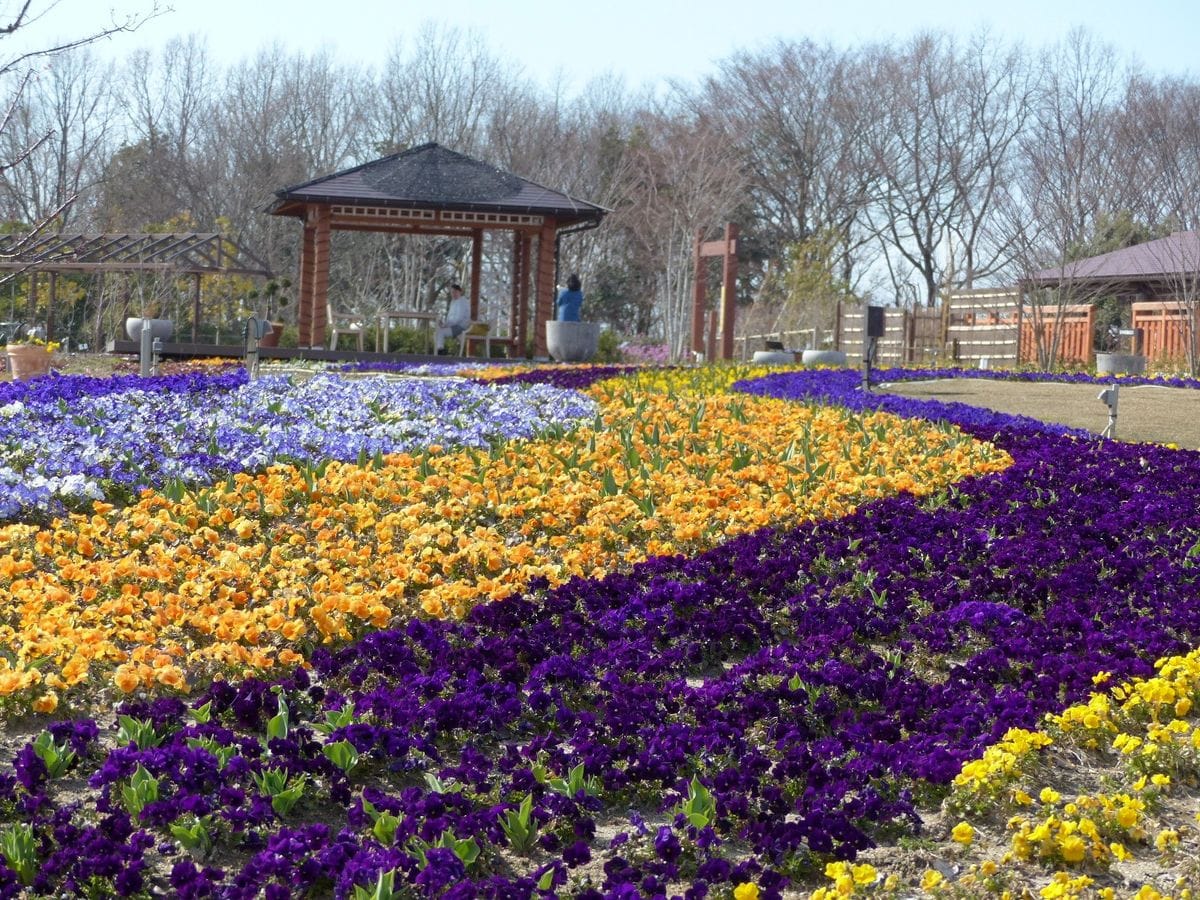 植物園で写真撮影